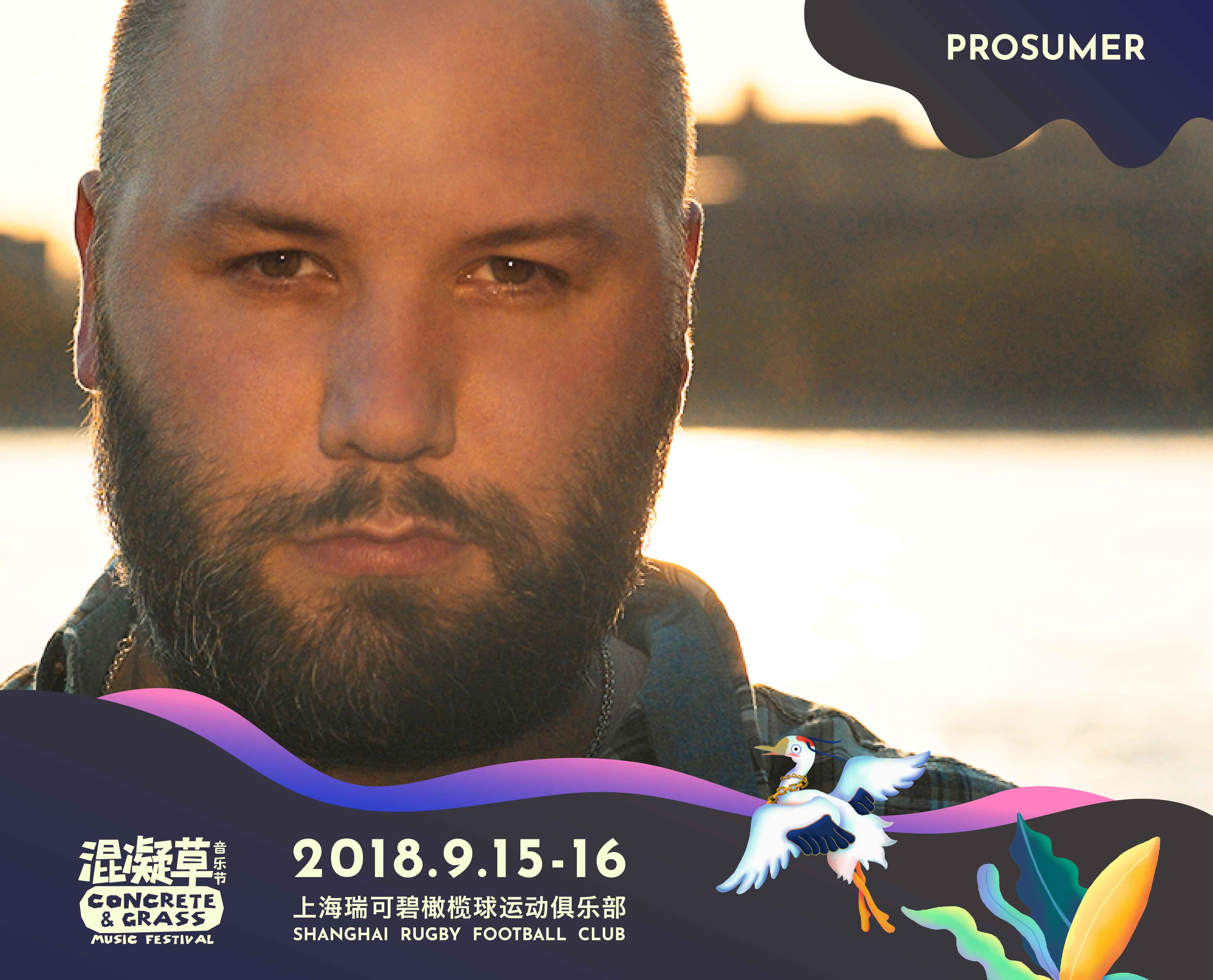 prosumer